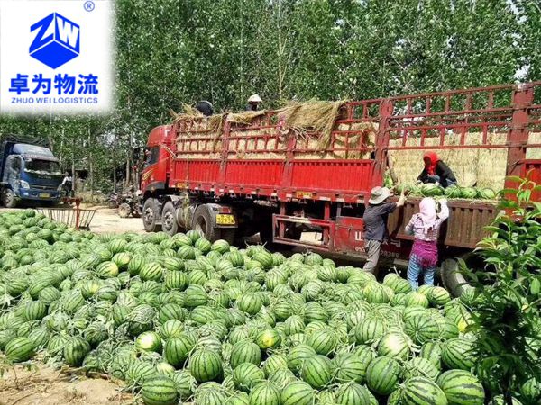 水果蔬菜運輸案例1